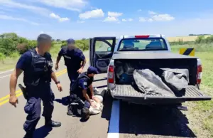 Drogas en Paysandú: un operativo histórico golpea al narcotráfico y reduce la distribución interna