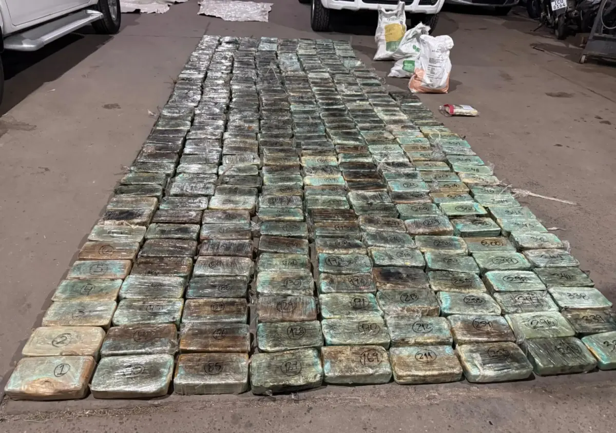 Incautación récord de drogas en Paysandú durante operativo policial del Ministerio del Interior
