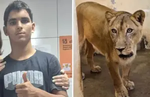 Salud mental en Brasil revela crisis tras tragedia en zoológico de João Pessoa