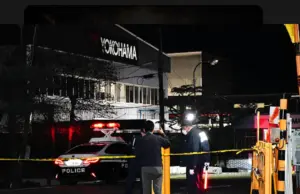 Un violento ataque en fábrica de neumáticos en Japón dejó catorce heridos