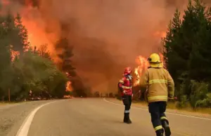 Chubut enfrenta la peor tragedia ambiental por los feroces incendios en la Patagonia