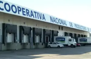 «Fratti perdió oportunidad de callarse», dicen sobre deuda de Venezuela con Conaprole