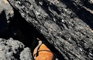 Un pescador encontró hoy una granada en el río Uruguay en Salto