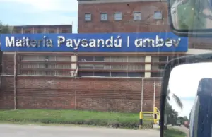 AmBev-Cympay Paysandú: 90 empleados al seguro de paro