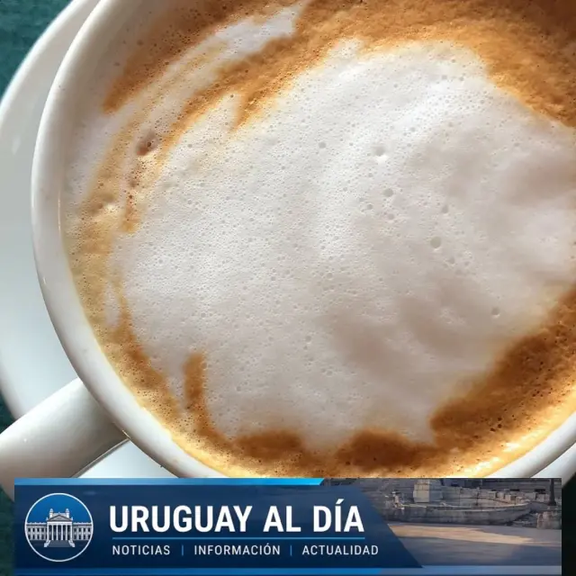 Cinco consejos para elegir un espumador de leche que realmente pj