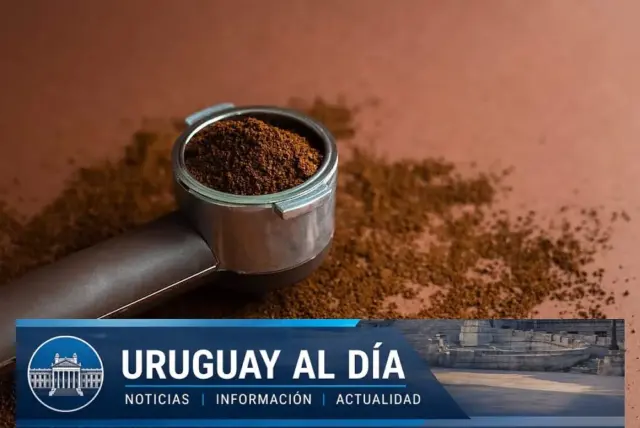 Como seleccionar el molinillo de cafe ideal para disfrutar de pj