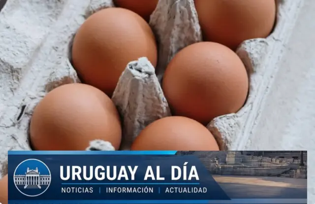huevos pj