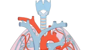 El asombroso poder de regeneración pulmonar tras dejar de fumar: un salvavidas inesperado