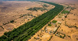 La Gran Muralla Verde: el desafío de África contra la desertificación del Sahara