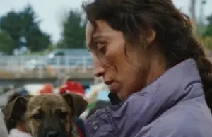 Las perras y las directoras se imponen en los premios Palm Dog