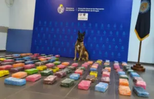 Golpe al tráfico regional: la policía incautó 118 kilos de pasta base en Ruta 1 ocultos en un vehículo de alta gama