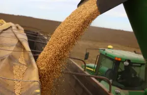 Argentina enfrenta desafíos para mantener exportaciones de soja hacia Europa