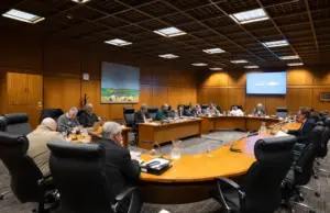 Efervescencia legislativa: el Parlamento uruguayo registra la mayor ola de comisiones investigadoras desde 1985