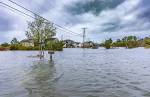 Amenaza climática: proyectan que el actual Fenómeno El Niño será uno de los más intensos en décadas