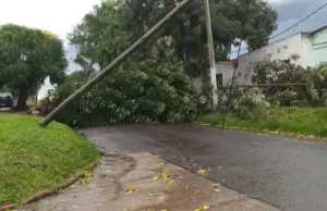 Impacto del temporal en Rivera: vientos huracanados provocan voladuras de techos y caída de infraestructura
