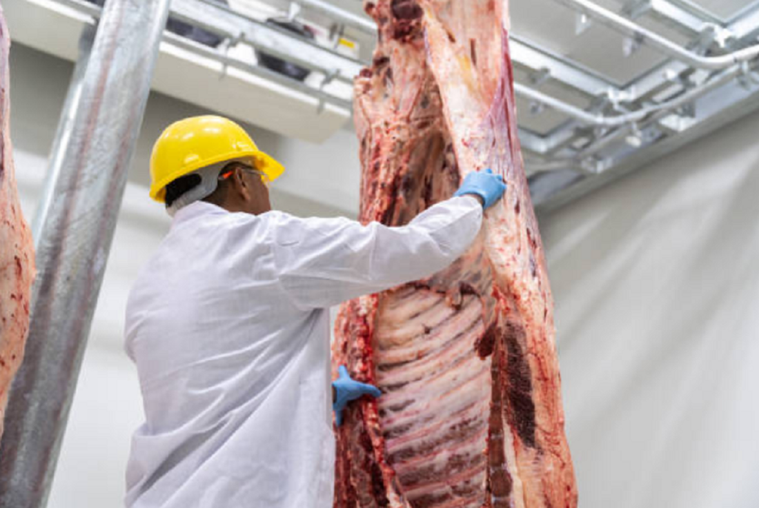 Personal de laboratorio analizando muestras de carne para detectar residuos químicos.