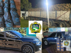 Golpe a las rutas: la Policía Caminera incautó mercadería por 4 millones Efectivos de la Policía Caminera inspeccionando vehículos por infracción aduanera.