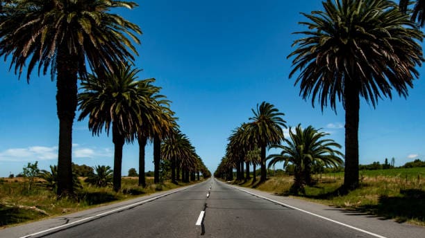 "Persona caminando bajo la lluvia en Montevideo durante un día nublado según el pronóstico de Inumet"