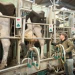 "gremiales lecheras uruguayas presentan propuesta ante el Senado para que el impuesto a exportaciones financie al Inale"