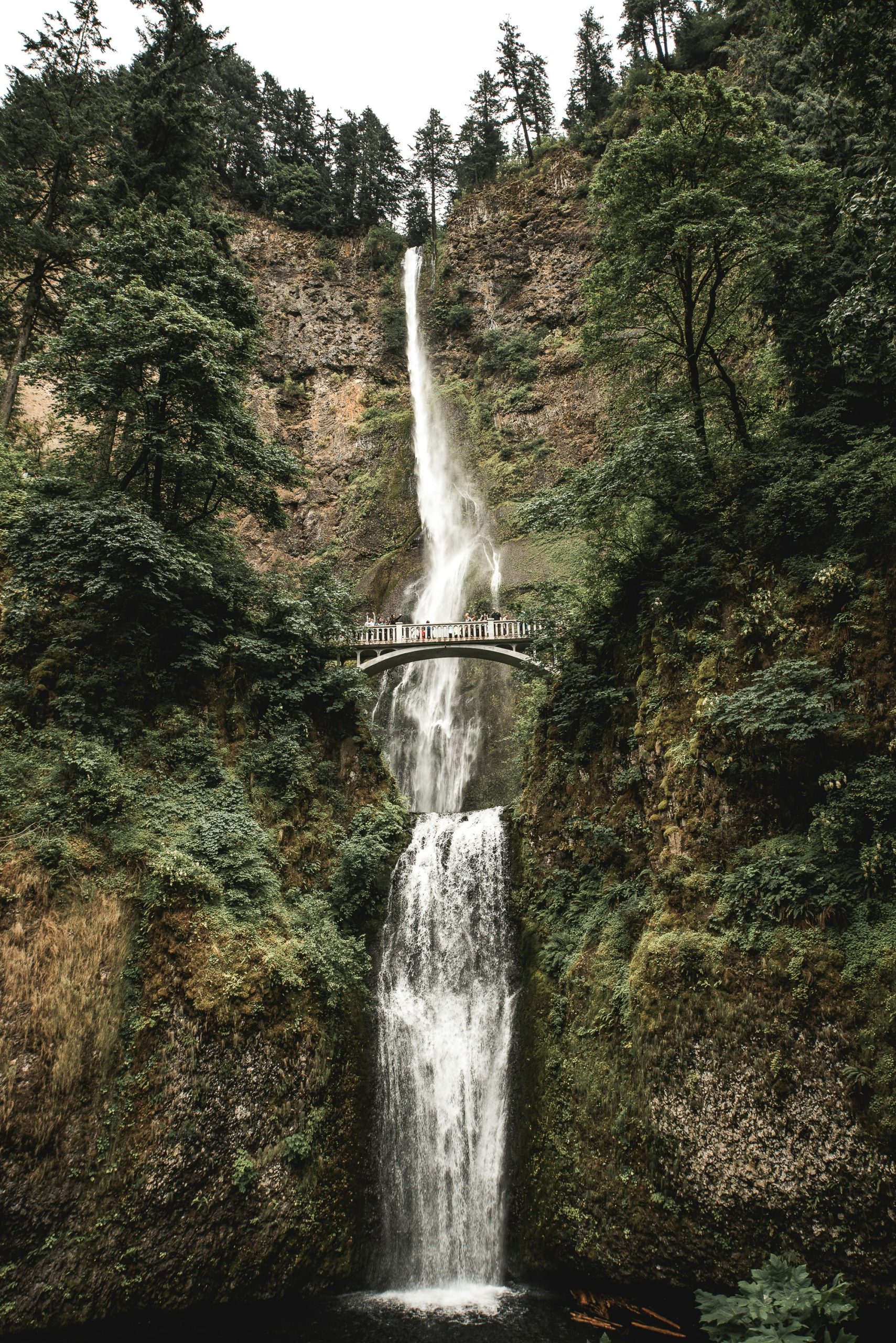 Caleb Jones 3igHRe7QTdg Unsplash 1 mis à l&#39;échelle