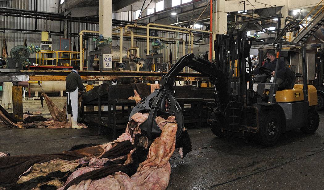 Trabajadores de Paycueros en Paysandú protestan tras la negativa de la Dinass a extender el seguro de desempleo