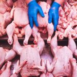 Suba del 25% en el precio del pollo obliga al MGAP a adelantar importaciones 4 Importación de pollo en Uruguay durante noviembre y diciembre para estabilizar precios.
