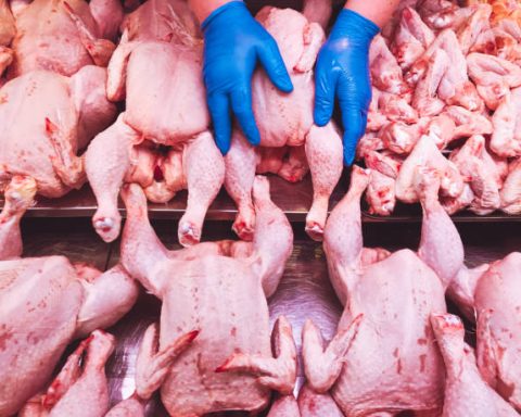 Importación de pollo en Uruguay durante noviembre y diciembre para estabilizar precios.
