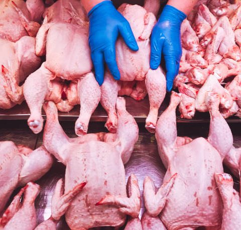 Importación de pollo en Uruguay durante noviembre y diciembre para estabilizar precios.