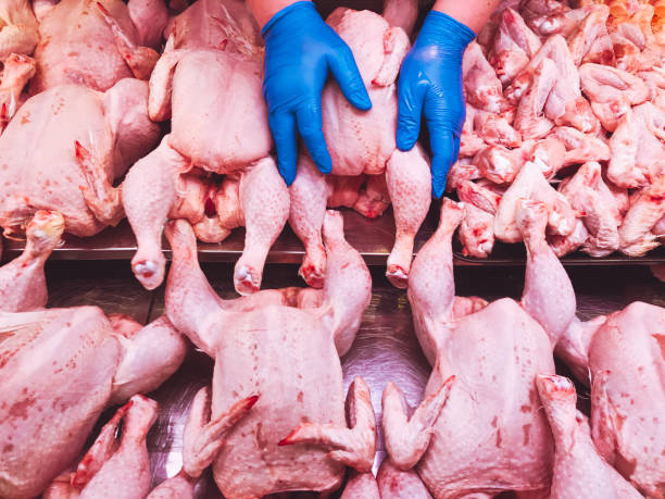 Suba del 25% en el precio del pollo obliga al MGAP a adelantar importaciones 1 Importación de pollo en Uruguay durante noviembre y diciembre para estabilizar precios.