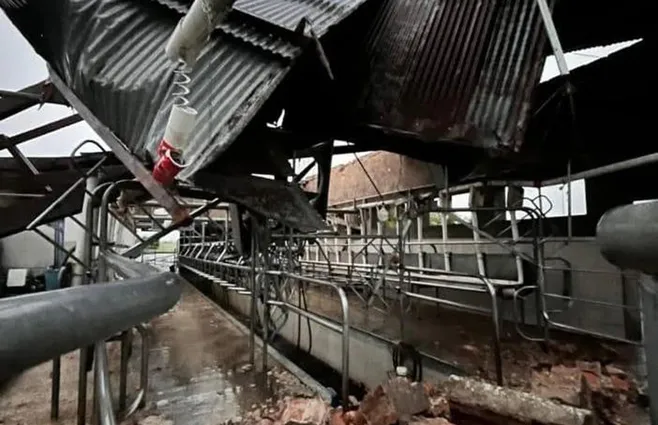 पेसंडू में तूफान: 152 किमी/घंटा की गति के झोंकों के बाद यूटीई दल शाखाओं को हटा रहे हैं और बिजली लाइनों की मरम्मत कर रहे हैं।