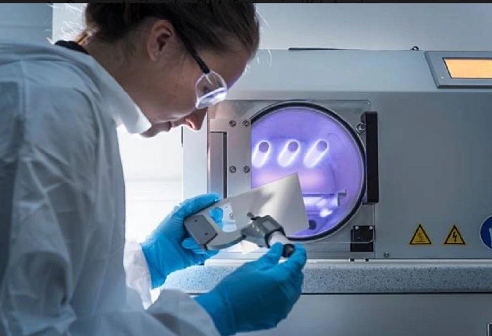 Ratones curados de diabetes tipo 1 tras trasplante innovador en Stanford