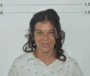 Policía y Fiscalía de Paysandú investigan nuevos casos de delincuencia femenina en el departamento.
