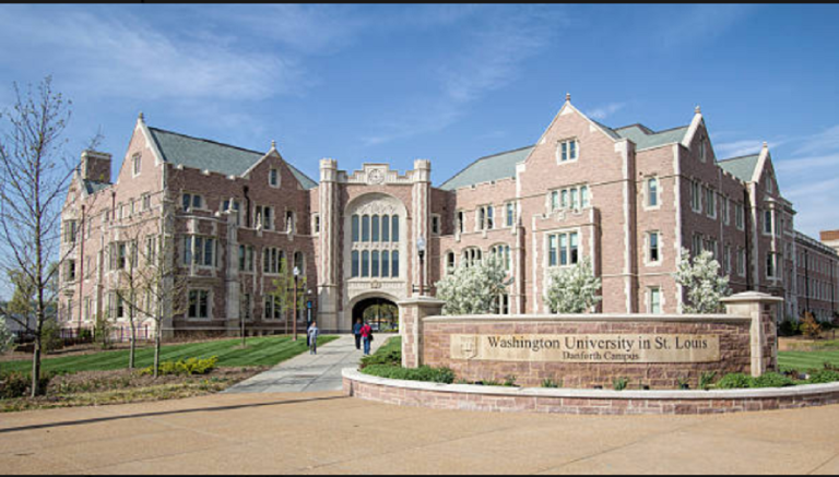 Síndrome severo ligado al cannabis reconocido por la OMS