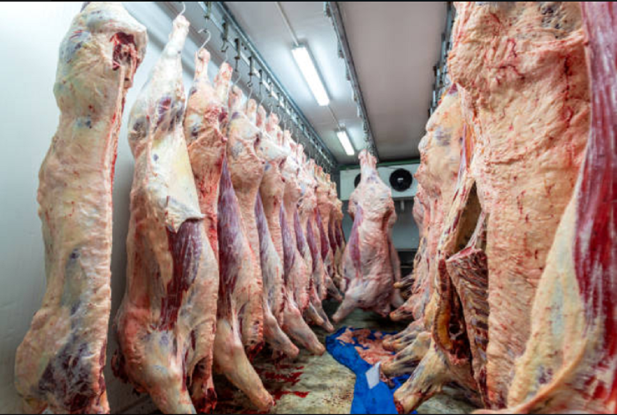 Uruguay fortalece su comercio exterior con el Tratado Transpacífico y 8 mercados adicionales.