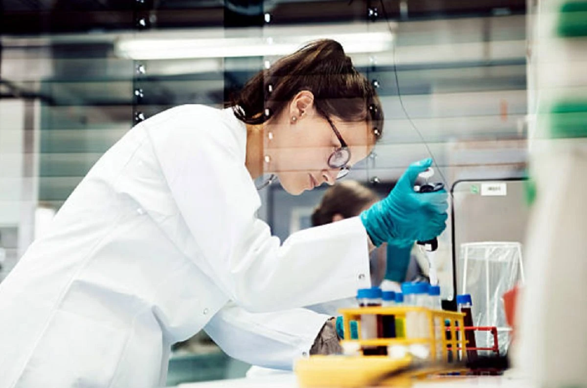 “Un cuerpo convertido en martillo perfecto”, concluye estudio sobre pájaros carpinteros 8 Estudio sobre pájaros carpinteros demuestra la sincronía muscular que permite golpes potentes.