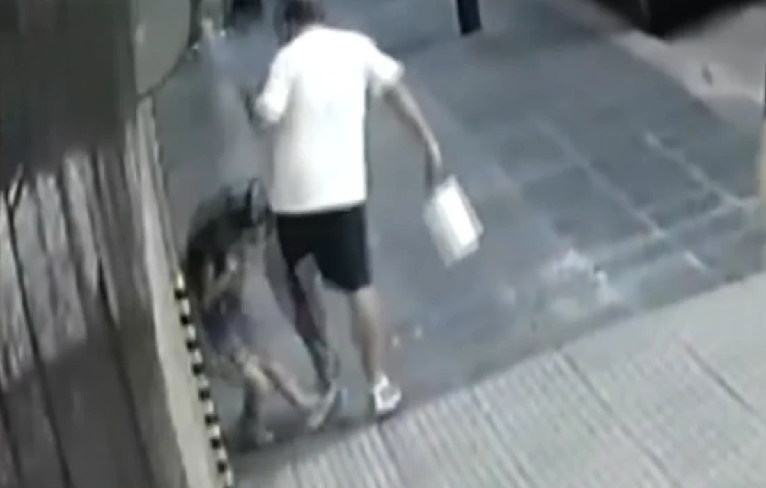 La cámara de seguridad registró el momento exacto del ataque a la niña en Palermo. Ataque a niña en Palermo: conmoción en Argentina tras la liberación del agresor