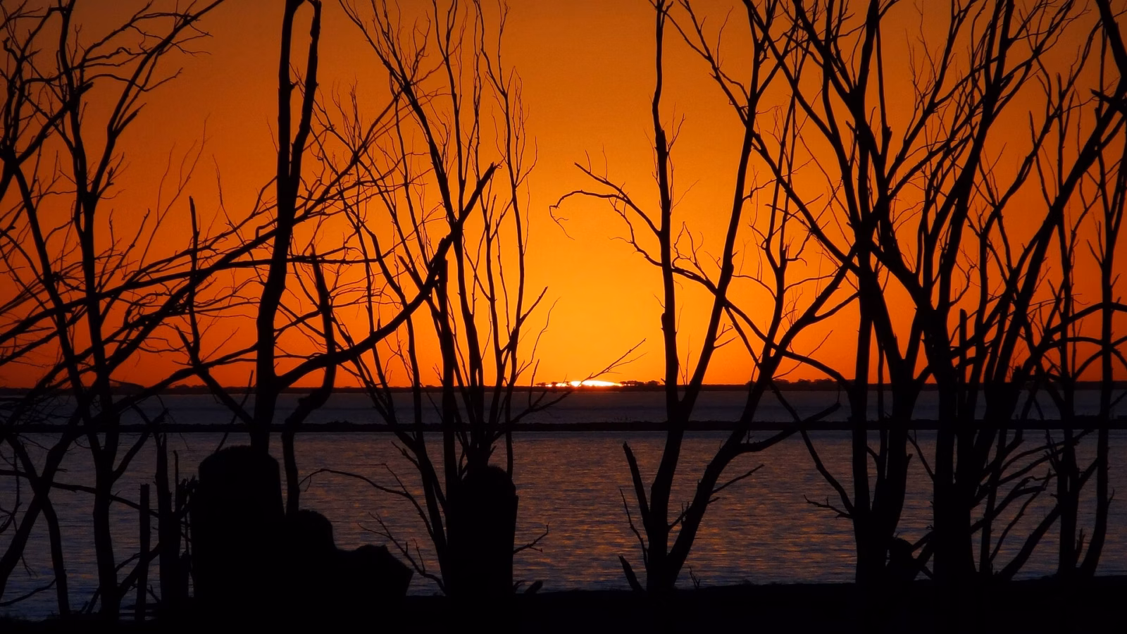 Las ruinas del pueblo fantasma de Epecuén emergen del agua cuarenta años después de la inundación.