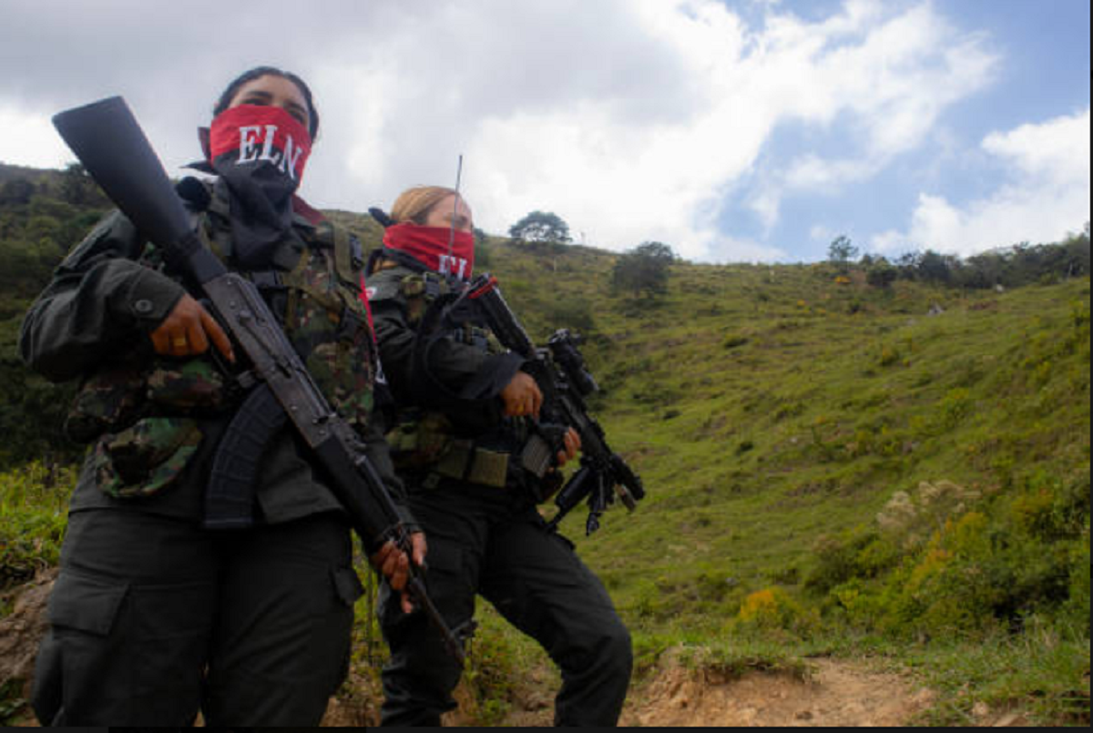 Balance de violencia del paro armado ELN en Cali