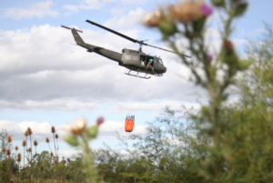 Lavalleja bajo llamas: el incendio en Lavalleja sigue activo este domingo temprano