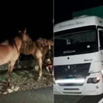 Lugar del siniestro de tránsito en ruta 3