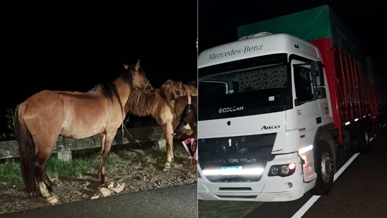 Lugar del siniestro de tránsito en ruta 3 Lugar del siniestro de tránsito en ruta 3