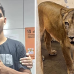 Salud mental en Brasil expuesta tras tragedia