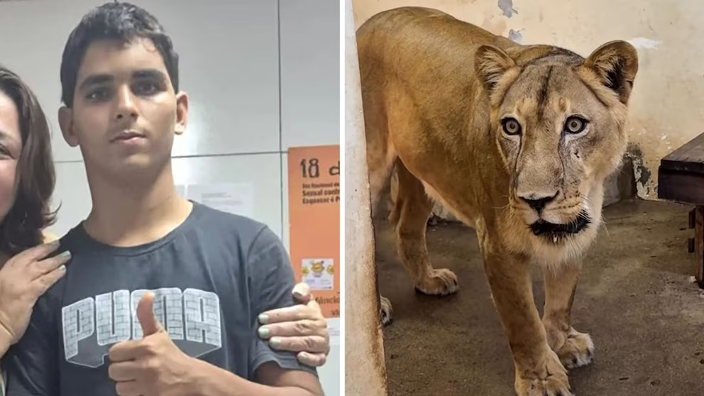 Salud mental en Brasil expuesta tras tragedia