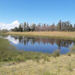 Muerte de un trabajador rural en Florida