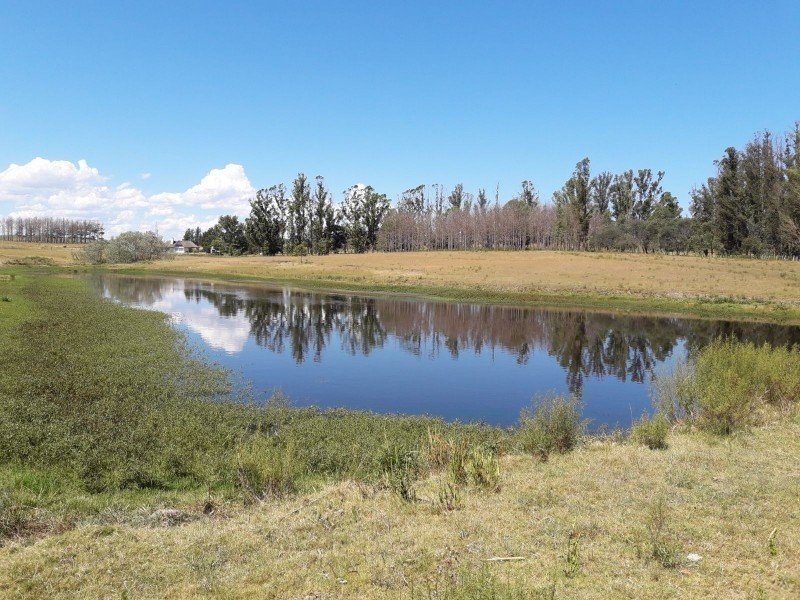 Muerte de un trabajador rural en Florida