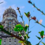 Gráfico del PIB trimestral que muestra el crecimiento de la economía uruguaya