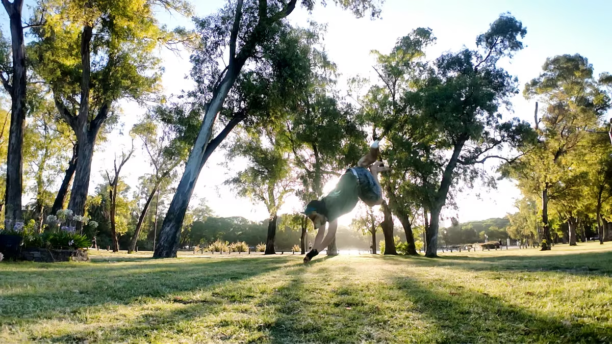 Símbolos de la identidad therian animal