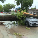 Accidente por temporal en Montevideo