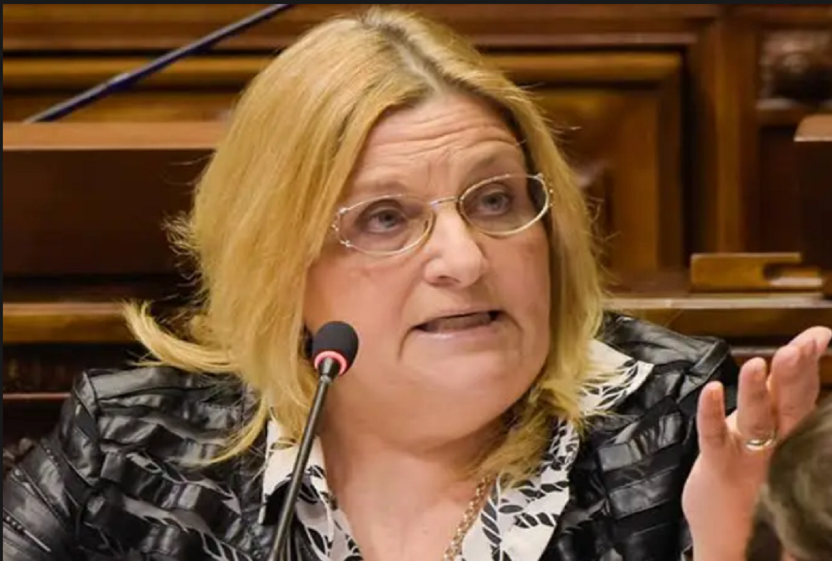 Graciela Bianchi presenta pedido sobre contrato de Cardama