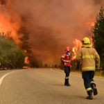 Devastación por incendios en la Patagonia